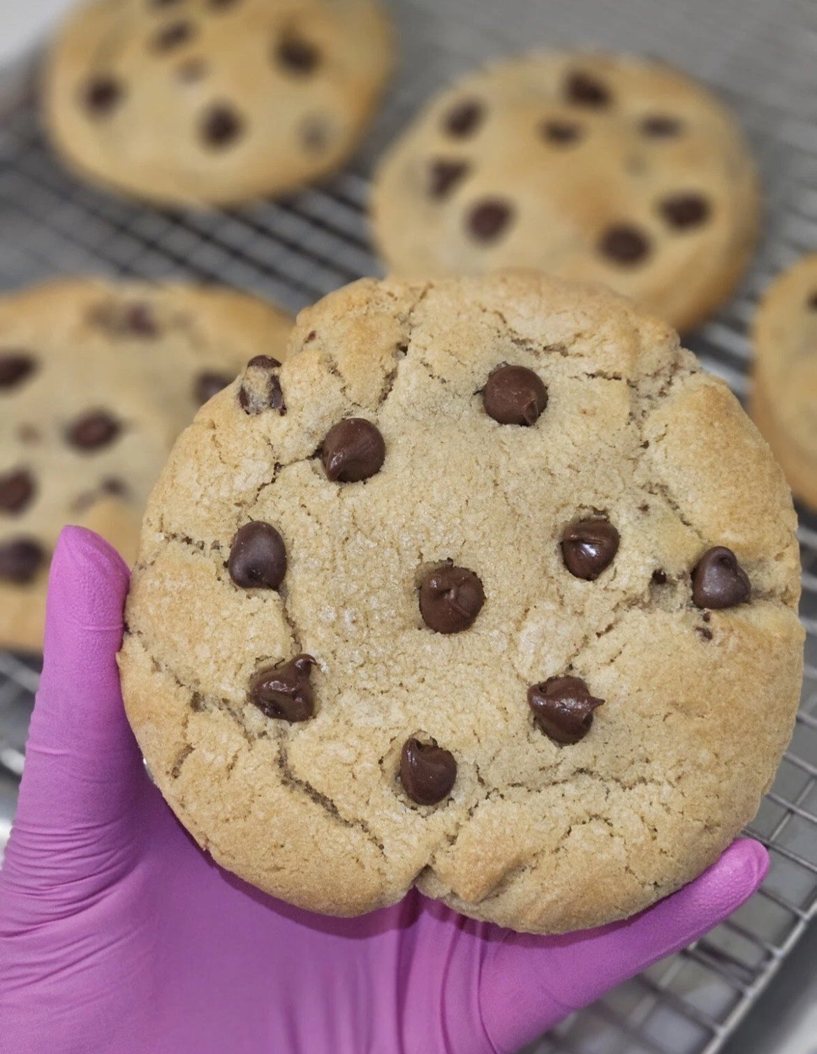 Chocolate Chip Cookies